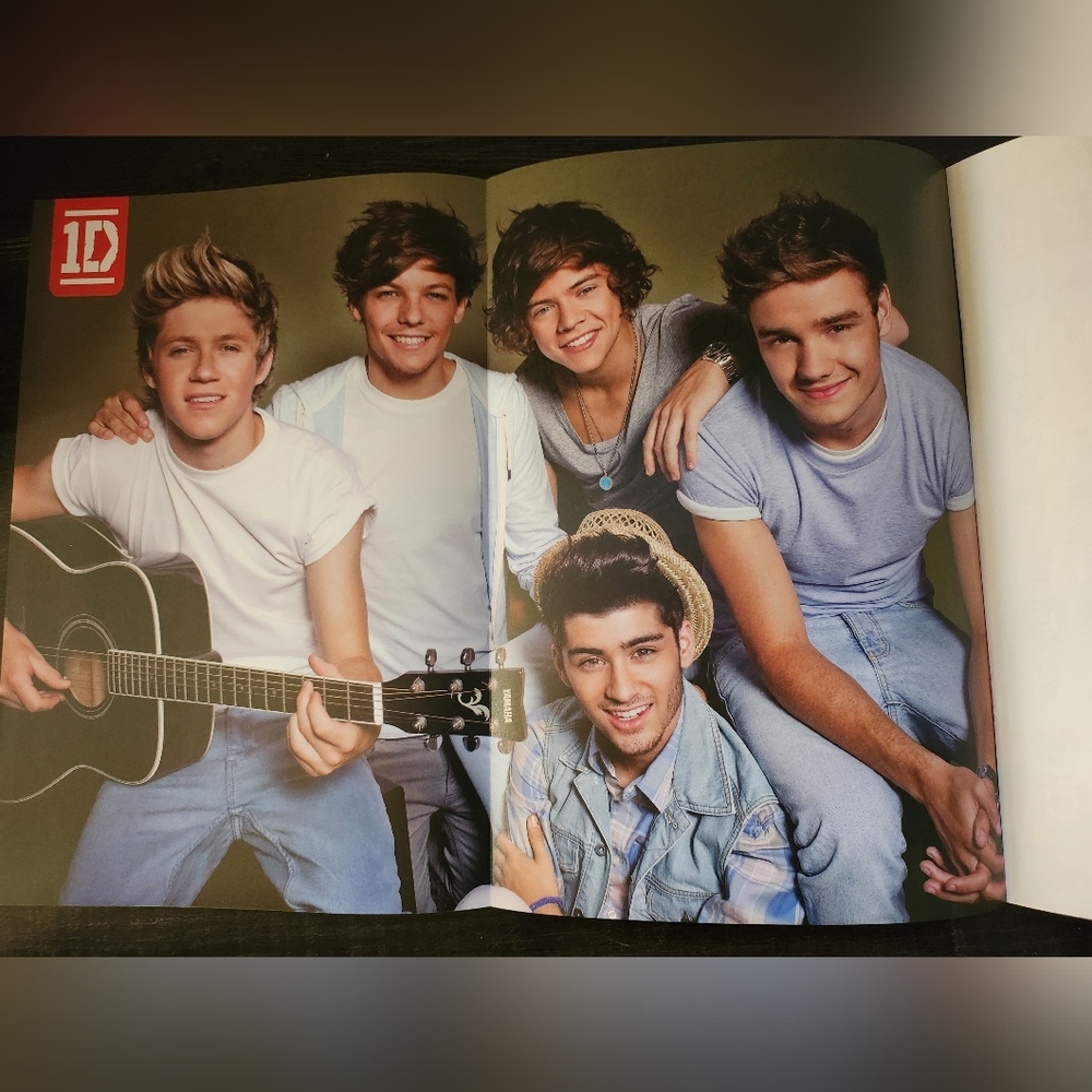 One Direction Ultimate Fan Book - Picture 9 of 16